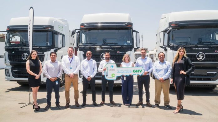 Copia de Imagen.jpg - 2026-02-03T161613.070