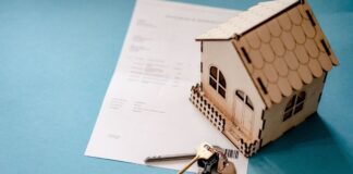 Remodelación del hogar con un presupuesto limitado: consejos para ahorrar dinero y mejorar su espacio