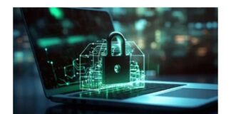 Ciberseguridad para startups: Cómo proteger sus activos digitales
