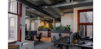 Cubículos de oficina ecológicos: materiales sostenibles para oficinas modernas