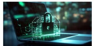 Ciberseguridad para startups: Cómo proteger sus activos digitales