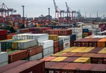 China concentra el 24 % de las importaciones de Argentina y redefine su mapa comercial