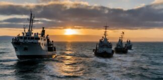 Chile en alerta por el ingreso sostenido de buques poteros chinos a sus puertos