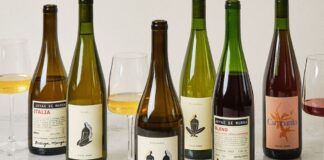De uvas pisqueras a vino premium: la estrategia que busca crear una nueva categoría exportable peruana