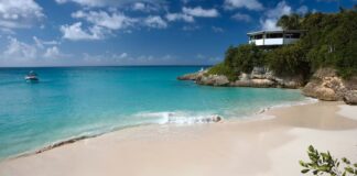 El dominio .ai supera el millón de registros y se consolida como motor de desarrollo para la isla de Anguilla