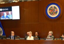 La OEA y Ayuda en Acción firman una alianza para impulsar el empleo juvenil en América Latina