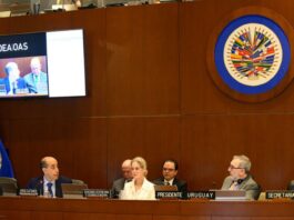 La OEA y Ayuda en Acción firman una alianza para impulsar el empleo juvenil en América Latina