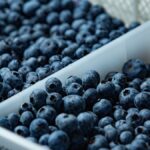 Perú se consolida como líder en exportación de arándanos y supera los US$2.400 millones en ventas durante el 2025