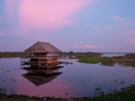 Iquitos celebra 162 años con más de 1.2 millones de pasajeros movilizados por SKY