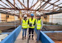 Antapaccay entrega 9 toneladas de abono natural para mejorar los suelos agrícolas de Espinar