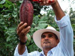 Creación de Valor Compartido, el modelo de negocio de Nestlé Ecuador que une crecimiento y propósito