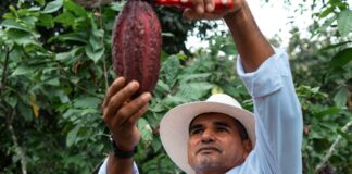 Creación de Valor Compartido, el modelo de negocio de Nestlé Ecuador que une crecimiento y propósito