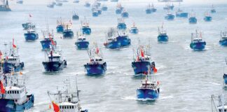 La sobrepesca china amenaza la sostenibilidad marina y la economía global