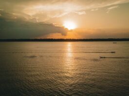 Natura es la empresa de belleza de América Latina más sustentable, según el S&P Global Sustainability Yearbook 2026