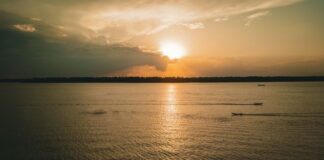 Natura es la empresa de belleza de América Latina más sustentable, según el S&P Global Sustainability Yearbook 2026