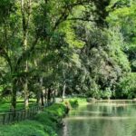 Tingo María mantiene reconocimiento mundial de turismo sostenible por quinto año consecutivo