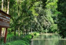 Tingo María mantiene reconocimiento mundial de turismo sostenible por quinto año consecutivo