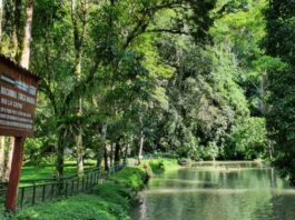 Tingo María mantiene reconocimiento mundial de turismo sostenible por quinto año consecutivo