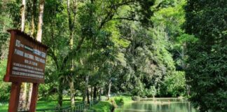 Tingo María mantiene reconocimiento mundial de turismo sostenible por quinto año consecutivo