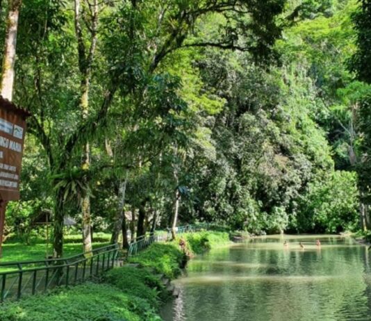 Tingo María mantiene reconocimiento mundial de turismo sostenible por quinto año consecutivo