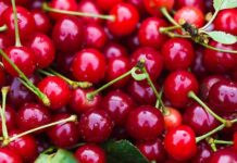 Industria chilena de cerezas enfrenta crisis por sobreoferta y debate erradicación de hasta 30.000 hectáreas