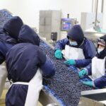 Empleos asociados a exportaciones superaron 1,5 millones en 2025 y crecieron 13,8%