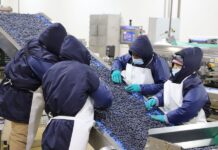 Empleos asociados a exportaciones superaron 1,5 millones en 2025 y crecieron 13,8%