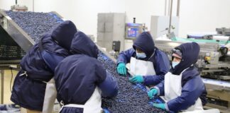 Empleos asociados a exportaciones superaron 1,5 millones en 2025 y crecieron 13,8%