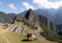 Turismo en alerta por irregularidades en venta de entradas a Machu Picchu