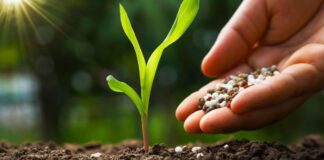 Inacal aprueba cinco nuevas normas técnicas peruanas para fortalecer la calidad en fertilizantes, alimentos y protección de datos