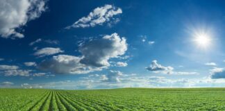 El agro peruano apuesta por la tecnología para proteger el 80% del agua frente a El Niño Costero