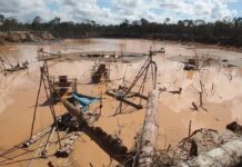 La minería ilegal en el Perú va a seguir creciendo con los actuales precios del oro