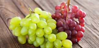 Chile: Innovación agrícola permite producir uva de mesa usando casi 50% menos agua