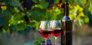 Exportaciones de vino de California se desploman 35% y profundizan la mayor crisis del sector en décadas