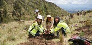 Grupo Distriluz consolida su liderazgo en sostenibilidad reflejados en reconocimientos 2025