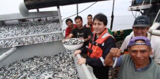 La pesca peruana entra en una nueva era impulsada por datos e inteligencia analítica