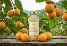 Inacal aprueba norma técnica para la elaboración del zumo y néctar de granadilla