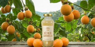 Inacal aprueba norma técnica para la elaboración del zumo y néctar de granadilla