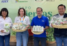 Exportaciones de hierbas y especias superan los US$ 600 millones y abren nuevas oportunidades globales