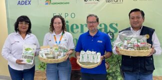 Exportaciones de hierbas y especias superan los US$ 600 millones y abren nuevas oportunidades globales