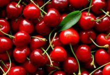 Exportaciones de cereza argentina caen 38% en la temporada 2025-2026