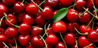Exportaciones de cereza argentina caen 38% en la temporada 2025-2026
