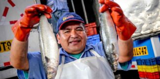 Más de 1,600 agentes pesqueros y acuícolas fueron capacitados por Sanipes para garantizar productos hidrobiológicos seguros
