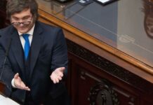 Milei reconfigura el mapa comercial argentino: más superávit y cambios en el peso de Brasil, China y EE.UU.