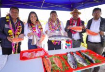 PRODUCE lanza crédito extraordinario con tasas de interés de 0 % para acuicultores afectados por lluvias e inundaciones