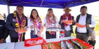 PRODUCE lanza crédito extraordinario con tasas de interés de 0 % para acuicultores afectados por lluvias e inundaciones