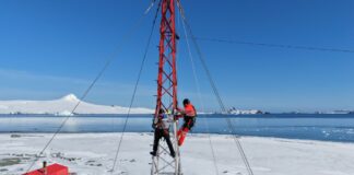 WOM consolida su presencia territorial con más de 6.300 antenas y cumple con el 100% de las localidades obligatorias autorizadas