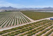 Gobierno Regional de Áncash rechaza aprobación del Proyecto de Ley 8011 que pone en riesgo el Proyecto Especial Chinecas