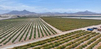Gobierno Regional de Áncash rechaza aprobación del Proyecto de Ley 8011 que pone en riesgo el Proyecto Especial Chinecas