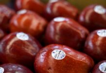 Washington Fruit Growers y Sinclair celebran más de 30 años de excelencia operativa en el etiquetado automatizado